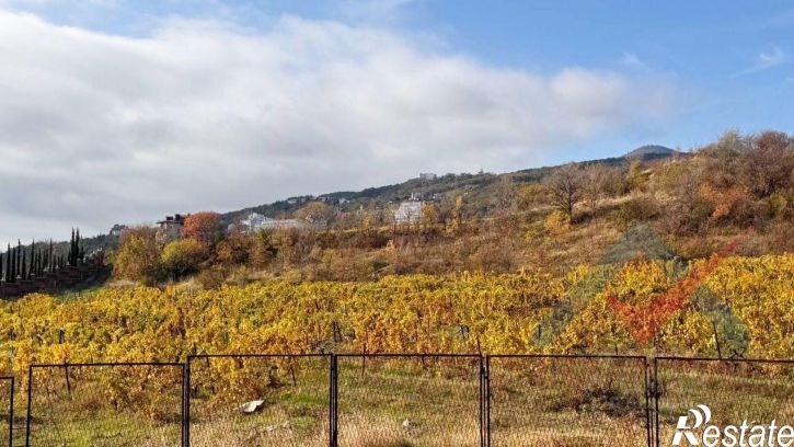 1-комн квартира муниципальный округ Ялта