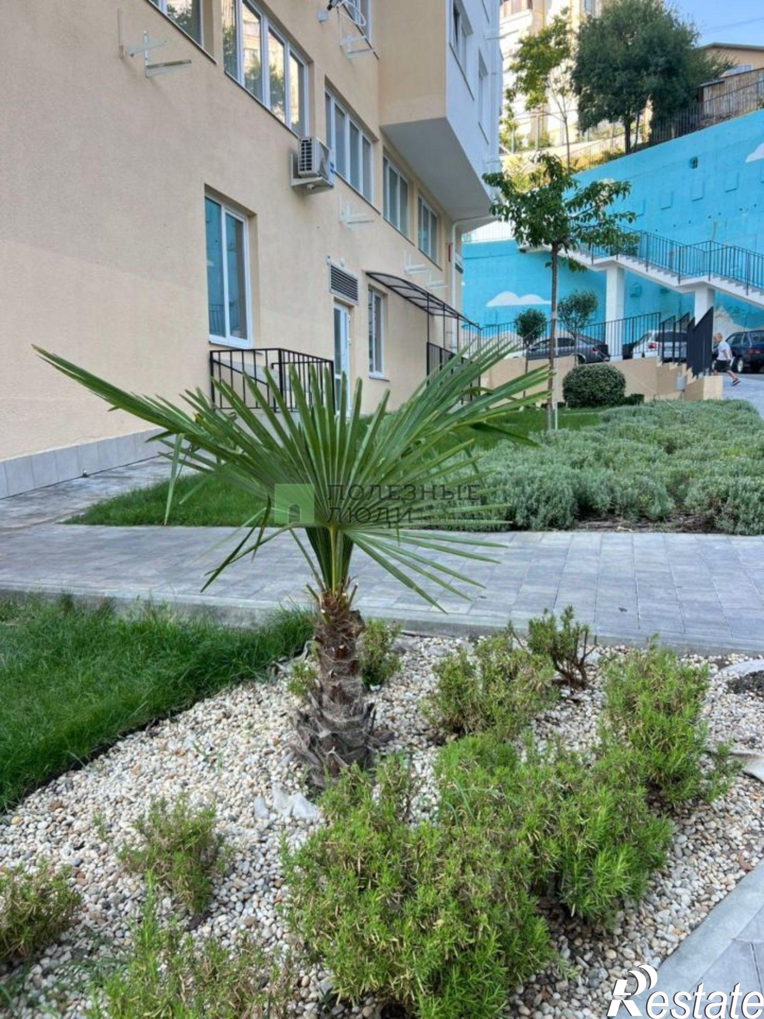 Купить квартиру за 12 500 000 рублей на улица Кирова, 155