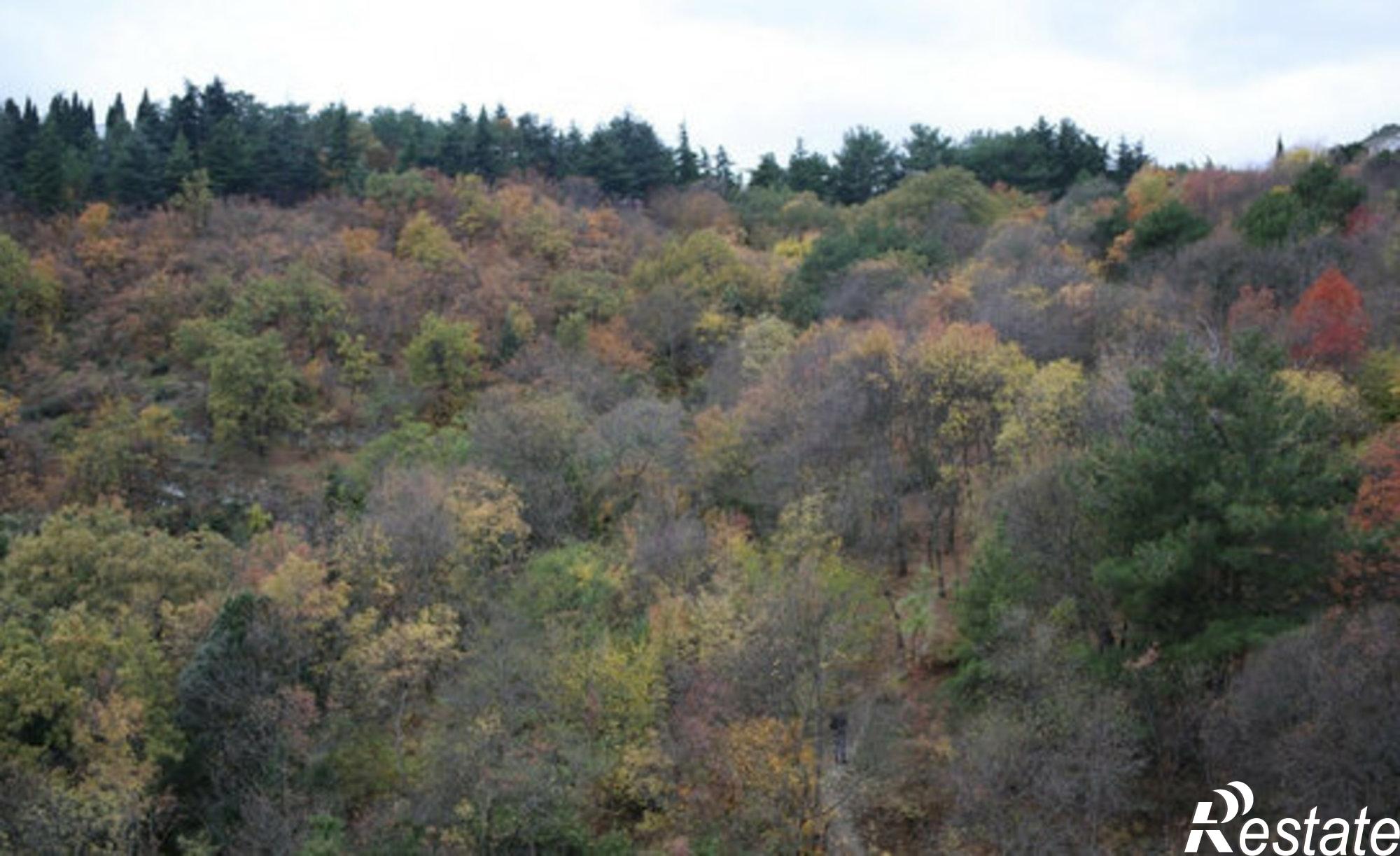 Купить квартиру за 29 999 000 рублей на ул Загородная, 17А