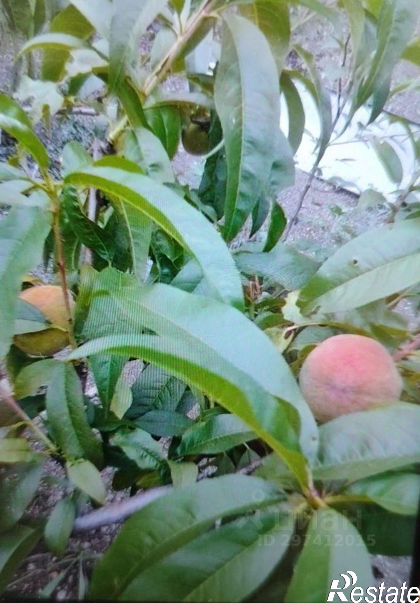 Купить землю, земельный участок за 9 000 000 рублей на ул им Олега Кошевого, 1