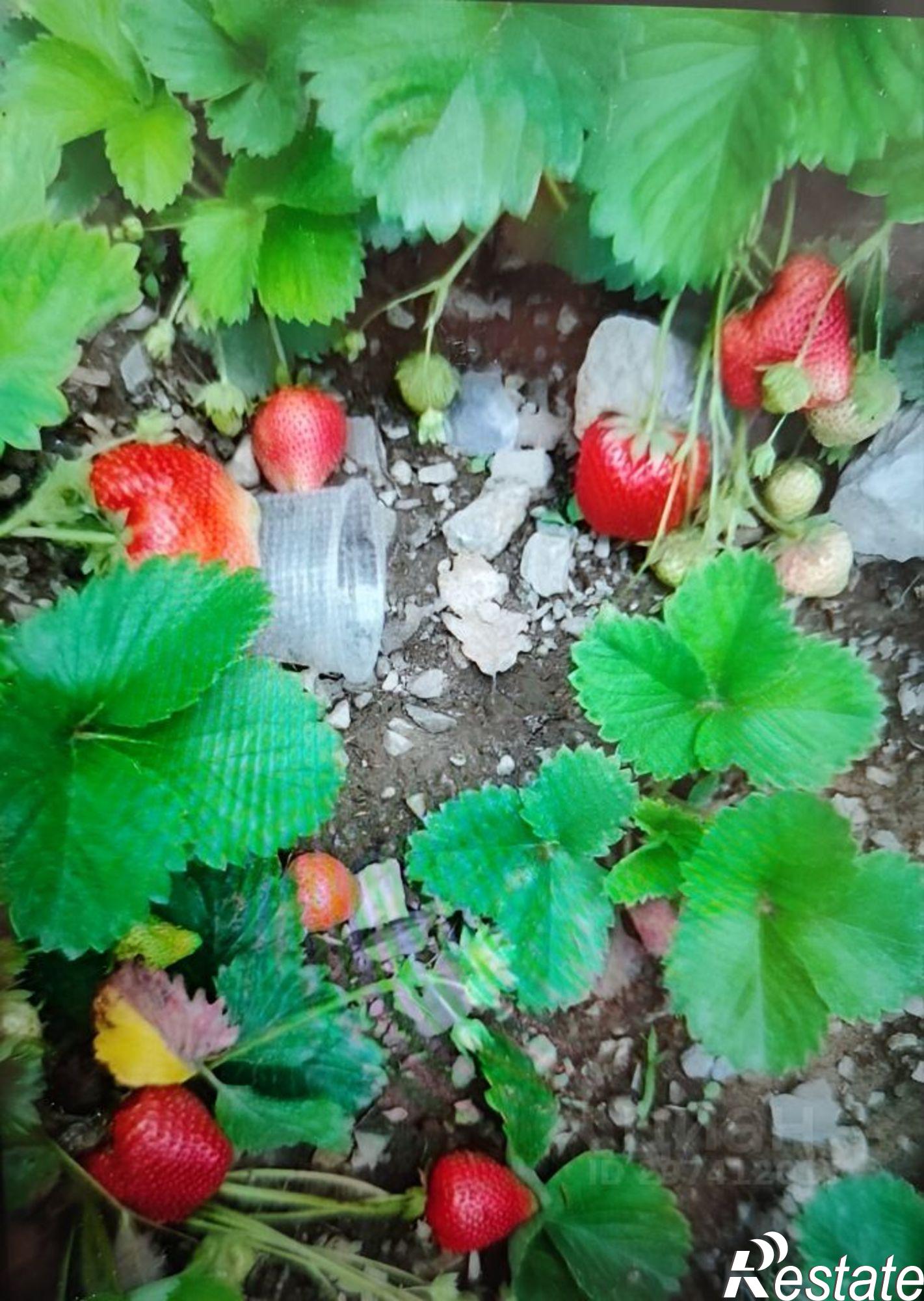 Купить землю, земельный участок за 9 000 000 рублей на ул им Олега Кошевого, 1