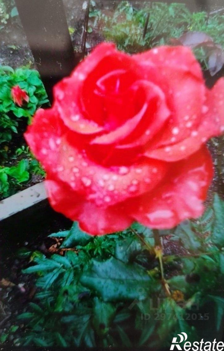 Земельный участок ул им Олега Кошевого, 1,  д. 1