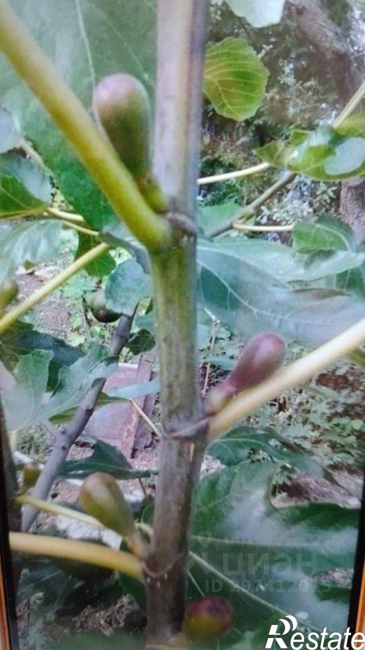 Земельный участок ул им Олега Кошевого, 1,  д. 1