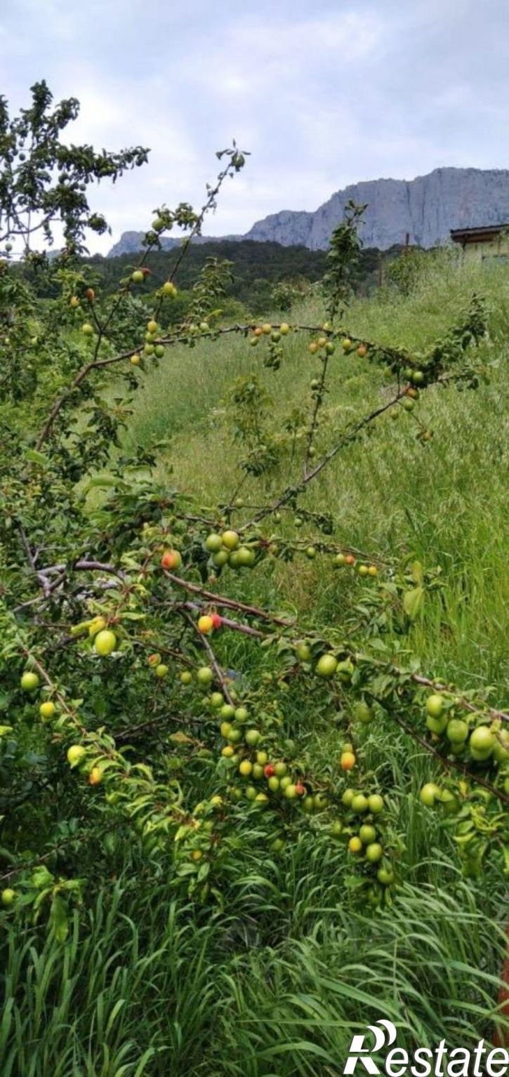 Земельный участок Севастопольское шоссе, 35,  д. 35