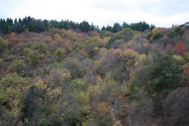 2-комн квартира Загородная ул., 17, литера А