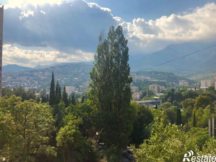 1-комн квартира ул Дзержинского, 33 1,  д. 33 1,  к. 1