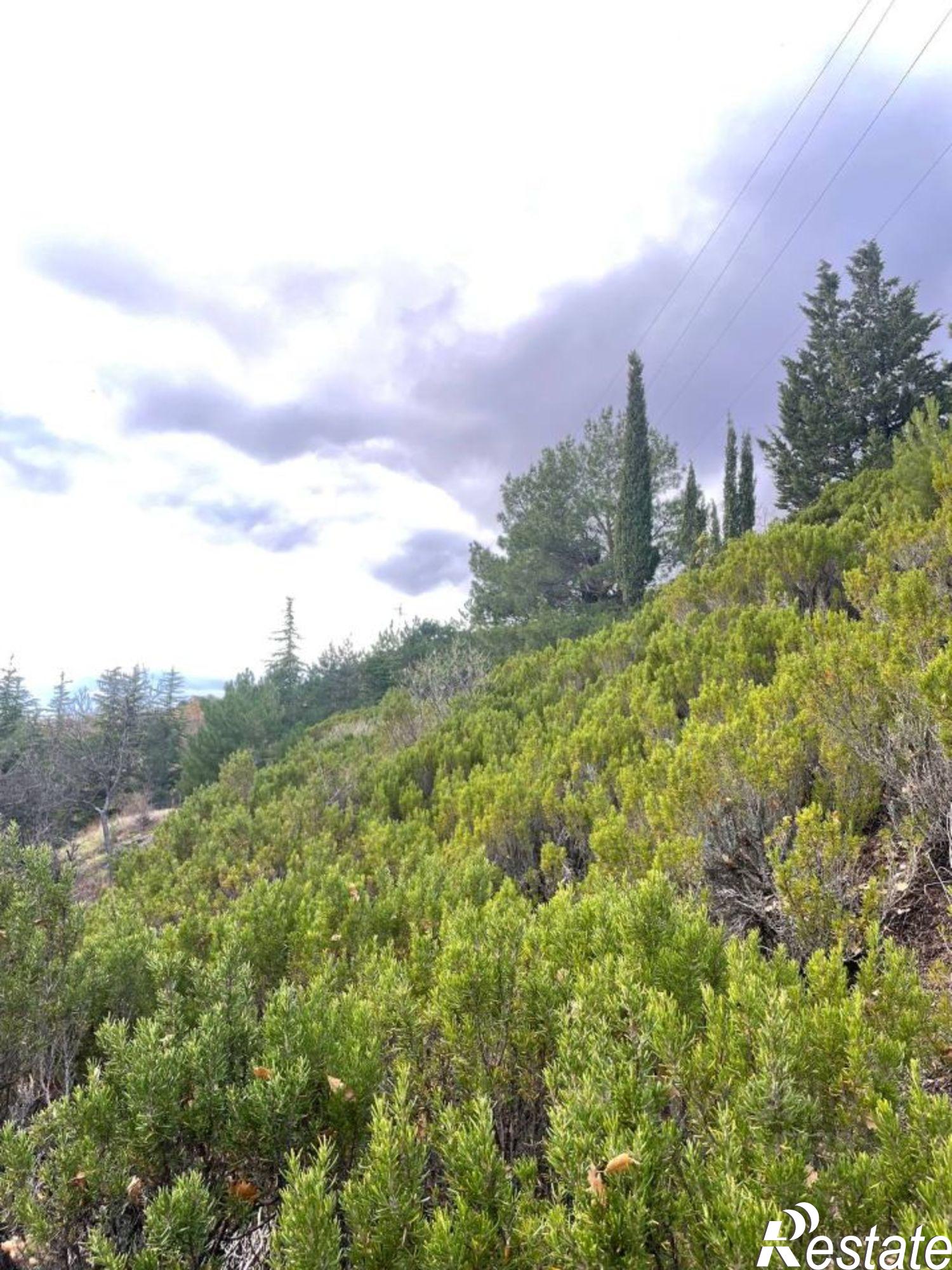 Купить землю, земельный участок за 15 000 000 рублей на Севастопольское шоссе, 35