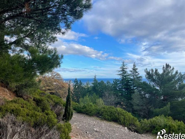 Земельный участок Севастопольское шоссе, 35,  д. 35