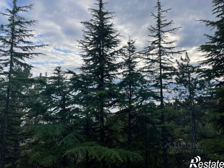 Земельный участок Севастопольское шоссе, 35,  д. 35