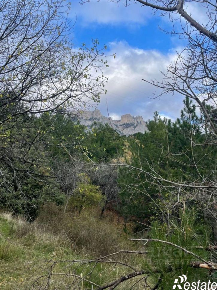 Земельный участок Севастопольское шоссе, 35,  д. 35