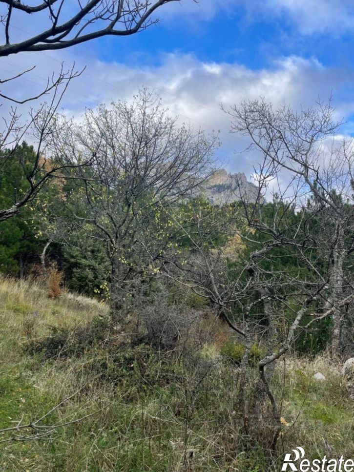 Земельный участок Севастопольское шоссе, 35,  д. 35