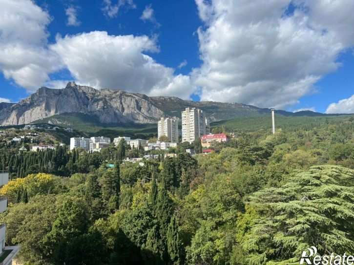 3-комн квартира Севастопольское шоссе, 52П,  д. 52П