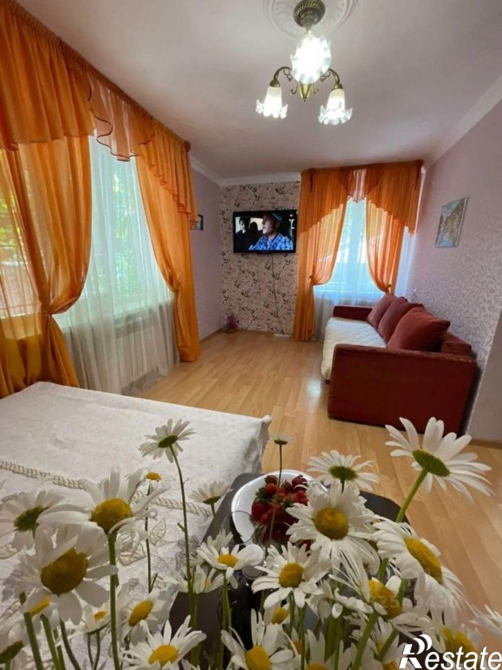 1-комн квартира ул Руданского, 24,  д. 24