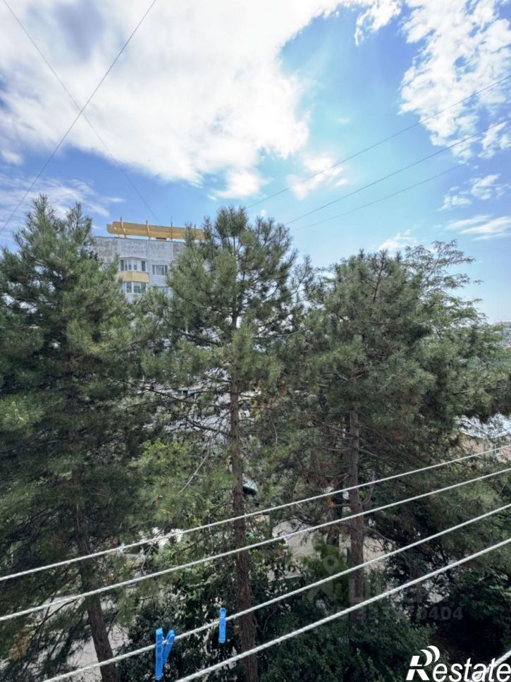 1-комн квартира улица Халтурина, 19 к3,  д. 19 к3